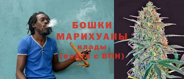 прущие крисы Заводоуковск