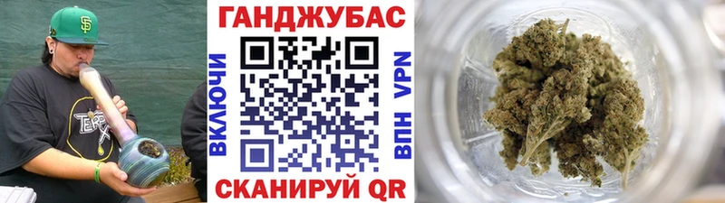 Марихуана план  Купить где  Ессентуки 